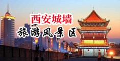 看不花钱的操操大逼破处中国陕西-西安城墙旅游风景区