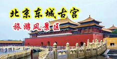 亚洲黑丝爱爱爱爱爱中国北京-东城古宫旅游风景区